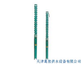 QJ 高揚(yáng)程井用泵